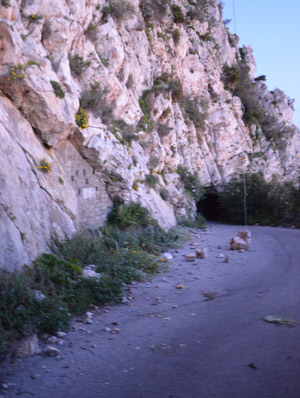 The signs about the falling rocks are true though