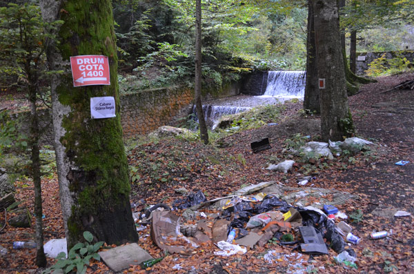 I heard that going into bear land when it’s dark in autumn is a stupid thing to do – let alone all the litter. No one knows where I am. I’m going back to the van.