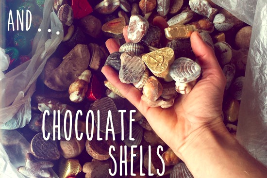 chocolate-shells