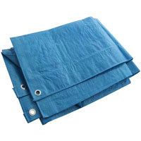 Tarp